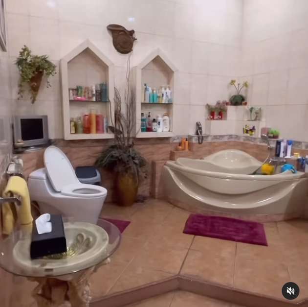 Potret Rumah Inul Daratista di Kampung Bak Hotel Mewah Sampai Punya Nama Gang Sendiri