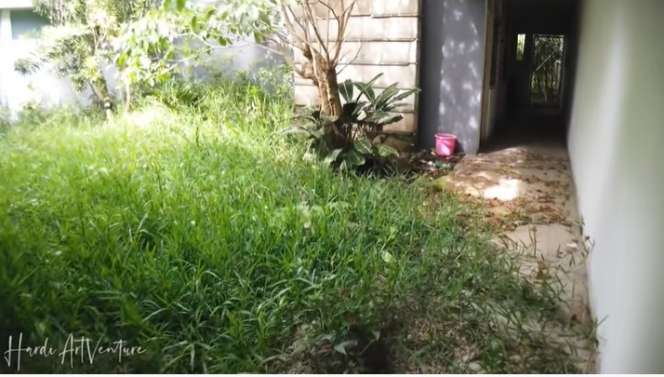 Potret Rumah Mewah Terbengkalai Milik Tasya Si Pianis Cilik, Jadi Saksi Bisu Kasus Pembunuhan Sadis!