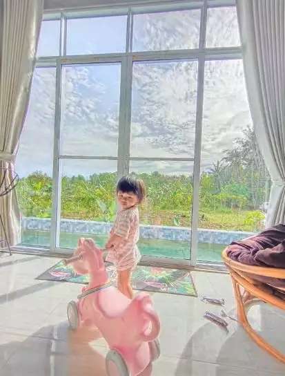 9 Potret Rumah Mewah di Tengah Sawah, Dalamnya Bak Toko IKEA, Ada Minibar & Kolam Renang!