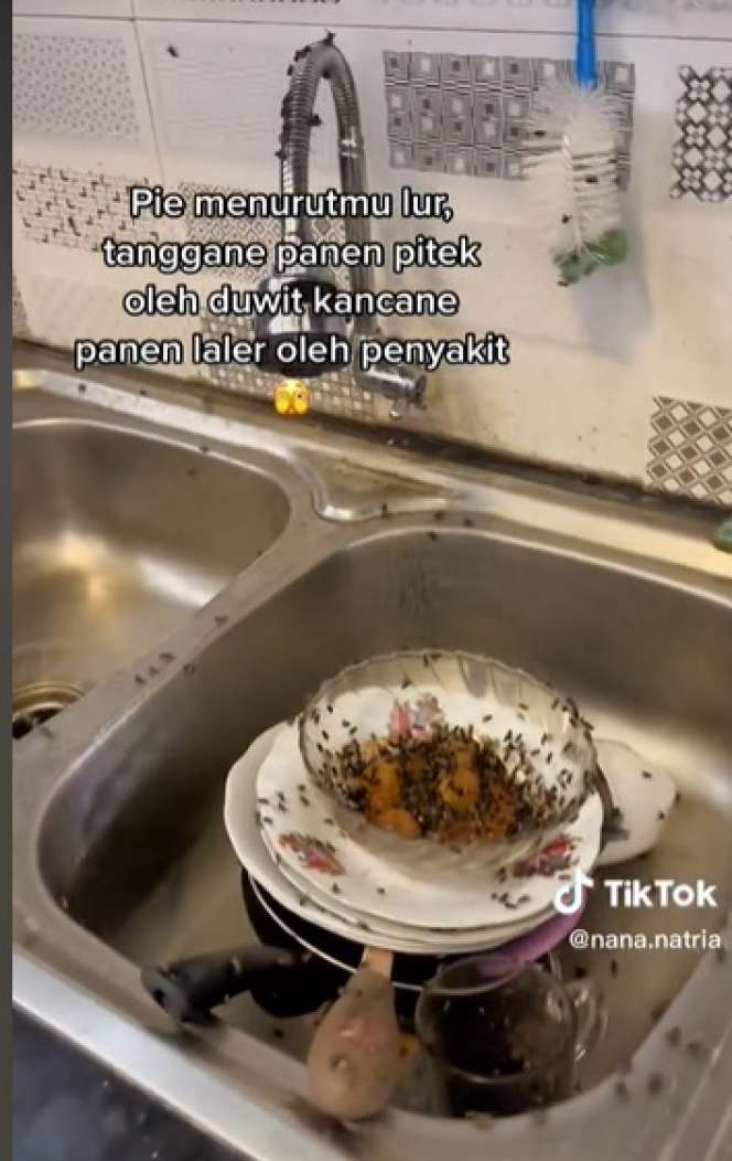 Potret Rumah Mewah Berubah Jadi Sarang Lalat, Ternyata Ulah Tetangga Peternak Ayam, Merinding Lihatnya!