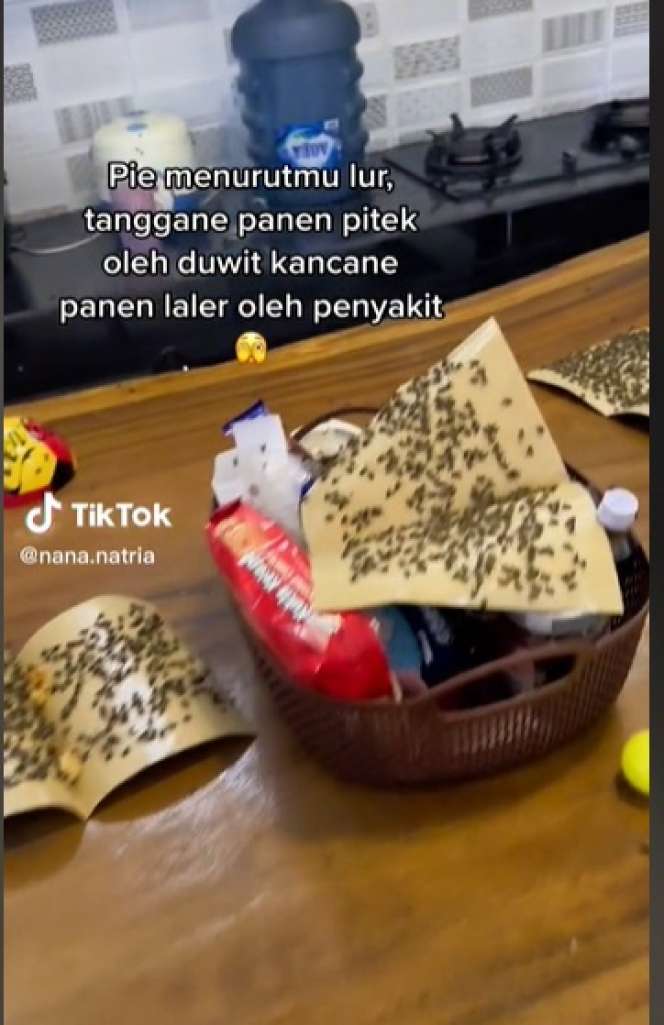Potret Rumah Mewah Berubah Jadi Sarang Lalat, Ternyata Ulah Tetangga Peternak Ayam, Merinding Lihatnya!