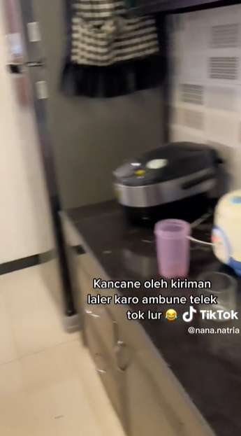 Potret Rumah Mewah Berubah Jadi Sarang Lalat, Ternyata Ulah Tetangga Peternak Ayam, Merinding Lihatnya!