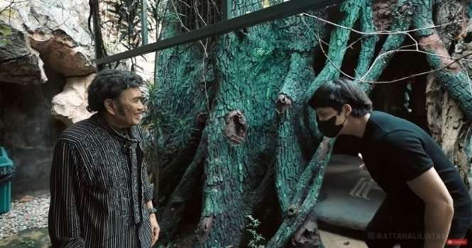 10 Potret Rumah Mewah Rhoma Irama Jadi Sorotan, Ada Musala Berbentuk Gua & Pohon Raksasa!