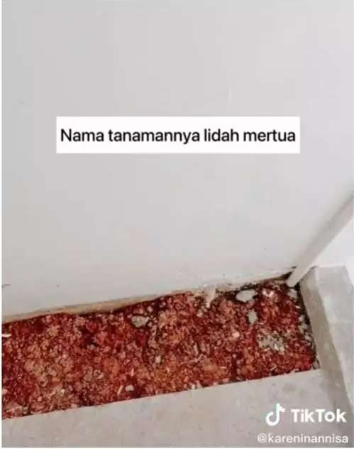 Potret Gudang Kumuh dan Seram Disulap Jadi Taman Estetik ala Bali, Spot Foto yang Keren Abis!