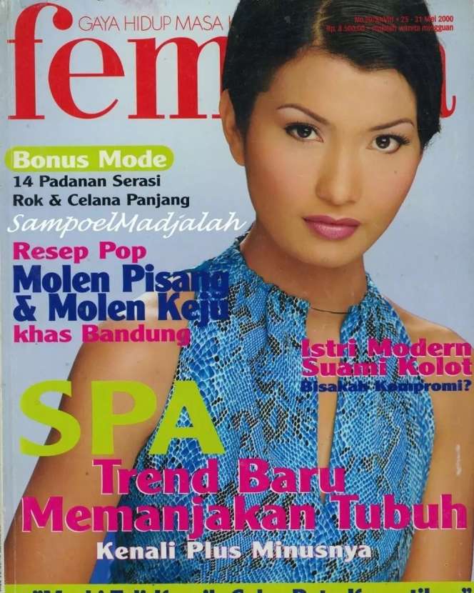 Ingat Juri Cantik di Ajang Pencarian Bakat `Mamamia Show` Ini? Kini Jadi Anggota DPR, Penampilannya Cetar Membahana