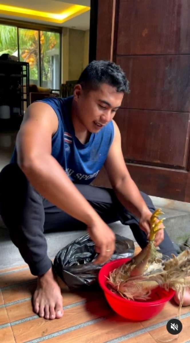 Pengantin Baru, 7 Potret Aprilio Manganang Bersihkan Bulu Ayam Jadi Sorotan, Macho?