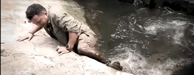 Momen Panji Petualang Terjebak di Kolam Buaya, Aksinya Bikin Ketar-ketir, Hampir Digigit!