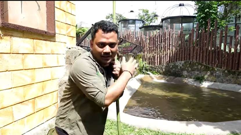 Momen Panji Petualang Terjebak di Kolam Buaya, Aksinya Bikin Ketar-ketir, Hampir Digigit!