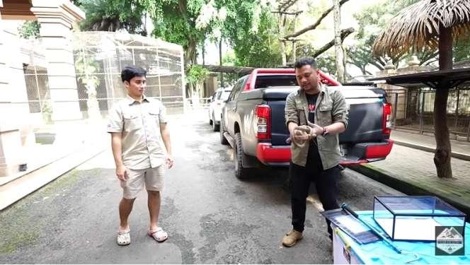 Bersahabat dengan Harimau, 7 Potret Alshad Ahmad Ketakutan Dililit Ular Piton Raksasa!