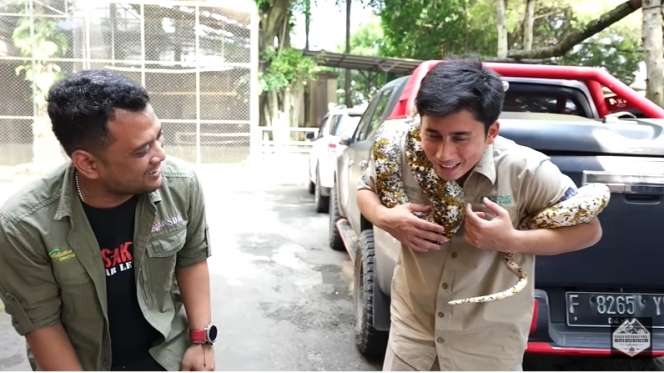 Bersahabat dengan Harimau, 7 Potret Alshad Ahmad Ketakutan Dililit Ular Piton Raksasa!