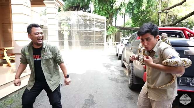 Bersahabat dengan Harimau, 7 Potret Alshad Ahmad Ketakutan Dililit Ular Piton Raksasa!