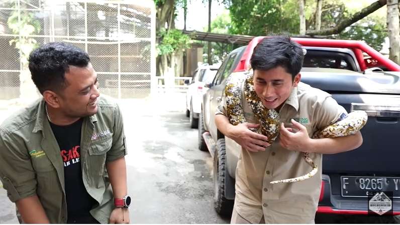 Bersahabat dengan Harimau, 7 Potret Alshad Ahmad Ketakutan Dililit Ular Piton Raksasa!