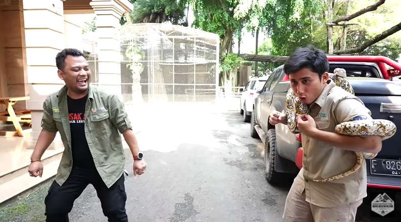 Bersahabat dengan Harimau, 7 Potret Alshad Ahmad Ketakutan Dililit Ular Piton Raksasa!