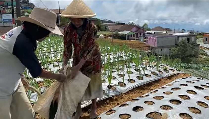 Potret Rumah Mewah Petani Daun Bawang di Temanggung, Lokasinya Bikin Takjub Ada di Lereng Gunung!