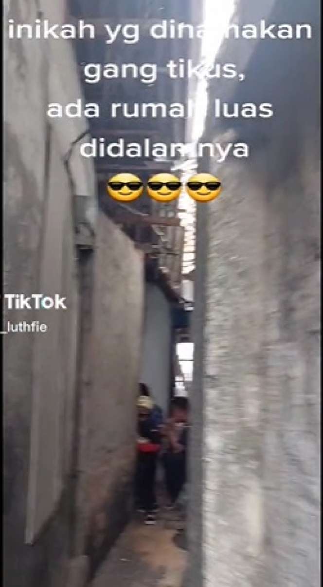Potret Gang Tikus yang di Dalamnya Terdapat Rumah Besar, Begini Penampakan Isinya