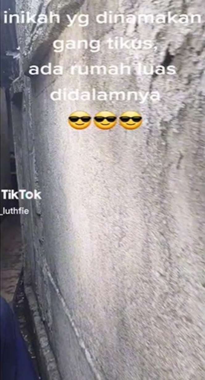 Potret Gang Tikus yang di Dalamnya Terdapat Rumah Besar, Begini Penampakan Isinya