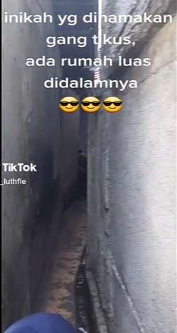 Potret Gang Tikus yang di Dalamnya Terdapat Rumah Besar, Begini Penampakan Isinya