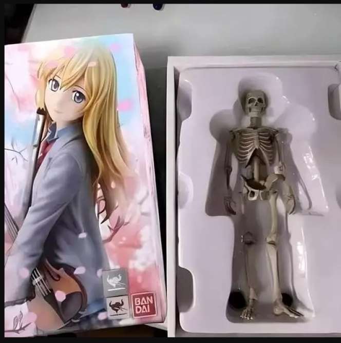 Momen Apes Saat Unboxing Barang, Ternyata Jauh Dari Realita, Endingnya Bikin Kesal!