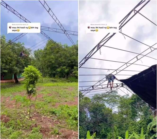 Viral Ladang Sayur Disulap Jadi Venue Nikah, Dekorasinya Bak Pernikahan Princess, Mewah Banget!