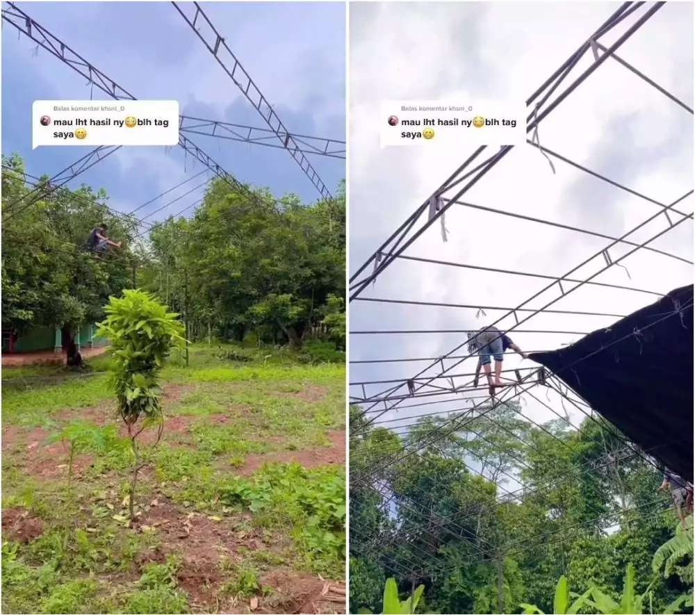 Viral Ladang Sayur Disulap Jadi Venue Nikah, Dekorasinya Bak Pernikahan Princess, Mewah Banget!