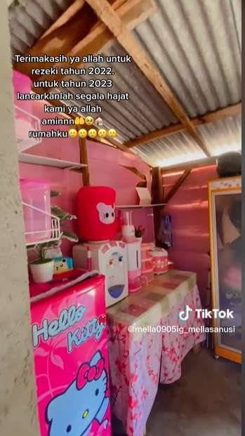 Potret Rumah Pink Terbuat dari Papan Kayu, Tampilannya Super Cantik, Auto Betah!