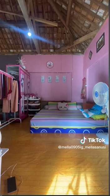 Potret Rumah Pink Terbuat dari Papan Kayu, Tampilannya Super Cantik, Auto Betah!