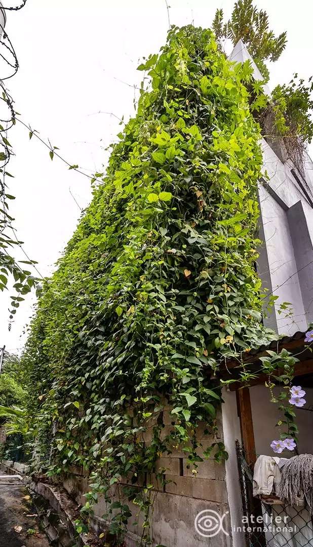 10 Potret Rumah Tua Dimakeover Jadi `Istana` di Dalam Hutan, Luarnya Aneh Dalamnya Bikin Takjub