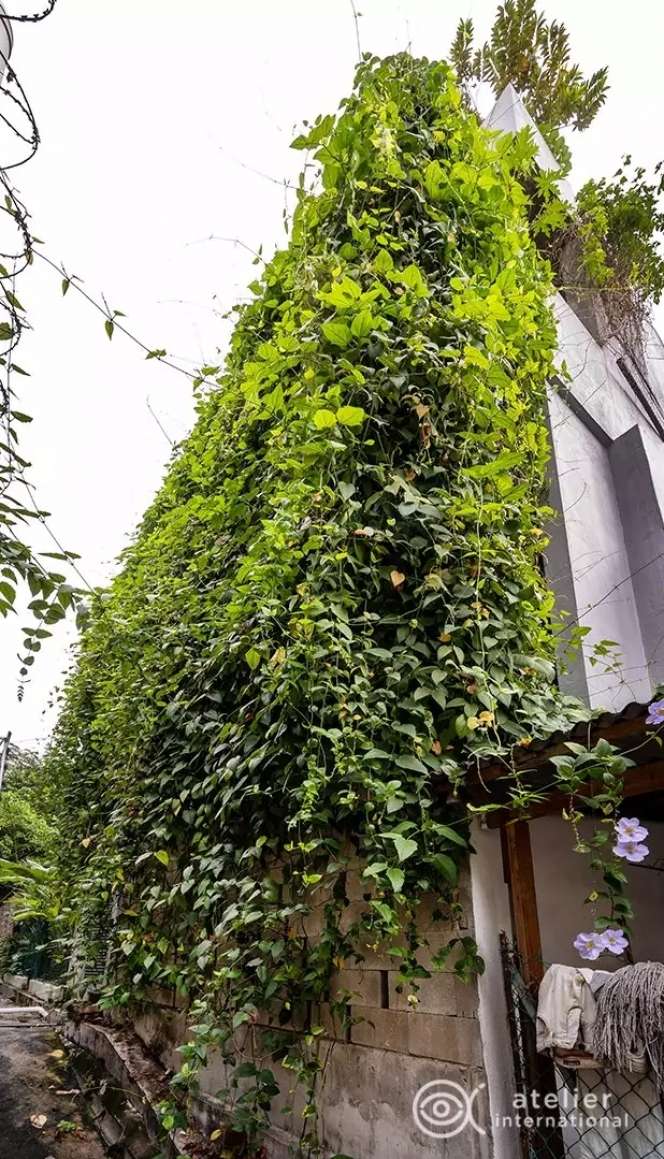 10 Potret Rumah Tua Dimakeover Jadi `Istana` di Dalam Hutan, Luarnya Aneh Dalamnya Bikin Takjub
