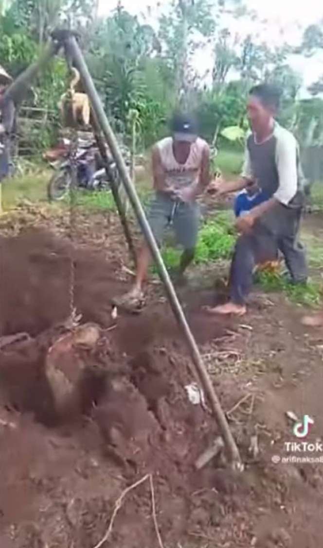 Viral Warga Sumsel Temukan Vespa Terkubur di Tanah, Bak 'Harta Karun' Terpendam