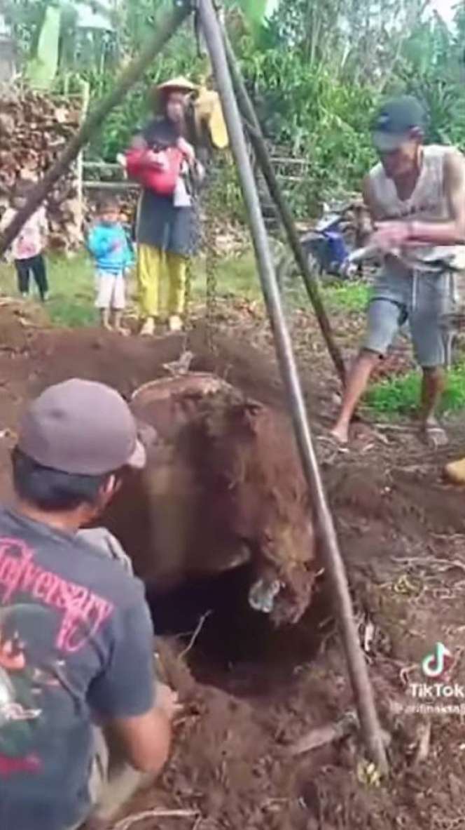 Viral Warga Sumsel Temukan Vespa Terkubur di Tanah, Bak 'Harta Karun' Terpendam