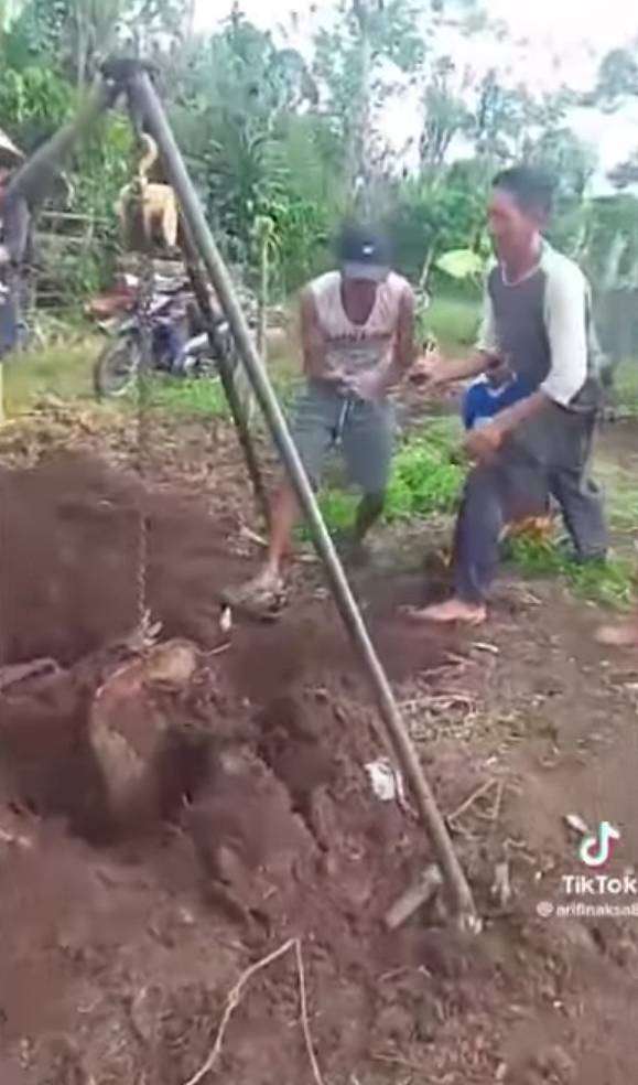 Viral Warga Sumsel Temukan Vespa Terkubur di Tanah, Bak 'Harta Karun' Terpendam