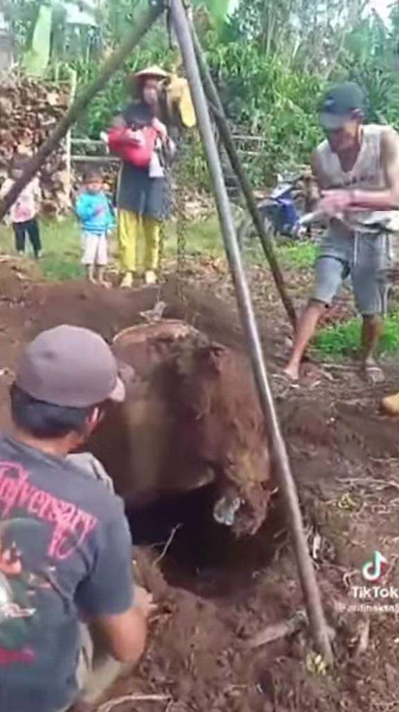 Viral Warga Sumsel Temukan Vespa Terkubur di Tanah, Bak 'Harta Karun' Terpendam