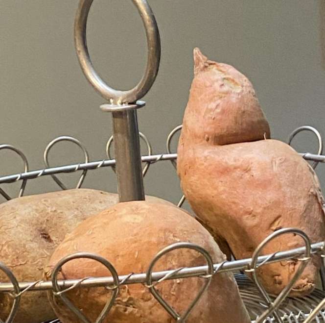 Potret Ilusi Optik Ini Bikin Mikir Dua Kali, Jangan Sampai Salah Persepsi!