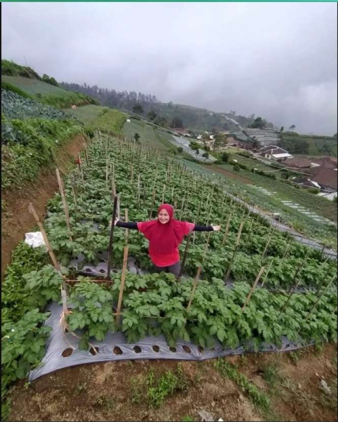 Potret Ladang dan Sawah Milik Mantan Pedangdut Novi Listiani, Ternyata Luas Banget!