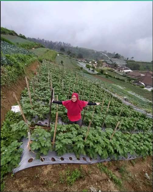 Potret Ladang dan Sawah Milik Mantan Pedangdut Novi Listiani, Ternyata Luas Banget!