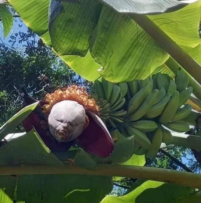 10 Penampakan Benda Biasa Ini Malah Bikin Senam Jantung, Endingnya Ngeselin Banget!