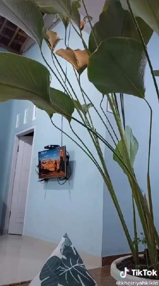Rumah ini Dihina Jelek dan Aneh, Ternyata Dalamnya Menakjubkan, Ada Taman Luas Indah Banget!