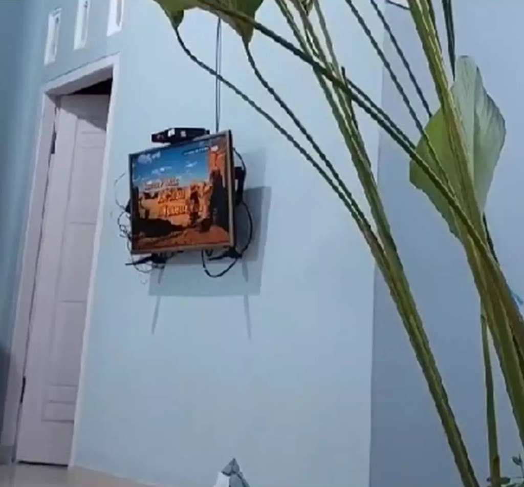 Rumah ini Dihina Jelek dan Aneh, Ternyata Dalamnya Menakjubkan, Ada Taman Luas Indah Banget!