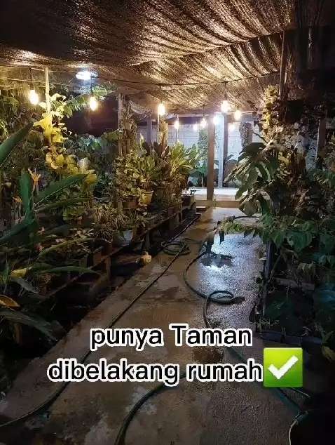 Rumah ini Dihina Jelek dan Aneh, Ternyata Dalamnya Menakjubkan, Ada Taman Luas Indah Banget!