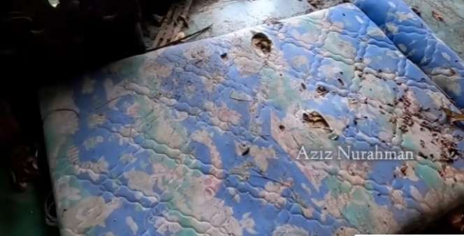 Potret Rumah Mewah Terbengkalai Milik Dokter Gigi di Jogja, Jadi Sarang Hantu, Ngeri!