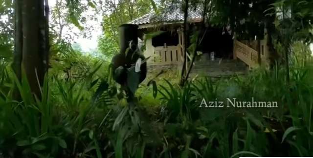 Potret Rumah Mewah Terbengkalai Milik Dokter Gigi di Jogja, Jadi Sarang Hantu, Ngeri!