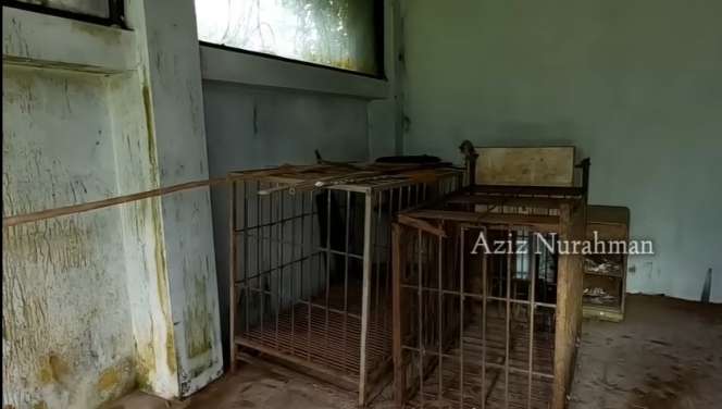 Potret Rumah Mewah Terbengkalai 10 Tahun, Milik Dokter Tampan Kaya Raya, Lokasinya Bikin Merinding!