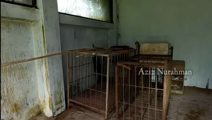 Potret Rumah Mewah Terbengkalai 10 Tahun, Milik Dokter Tampan Kaya Raya, Lokasinya Bikin Merinding!