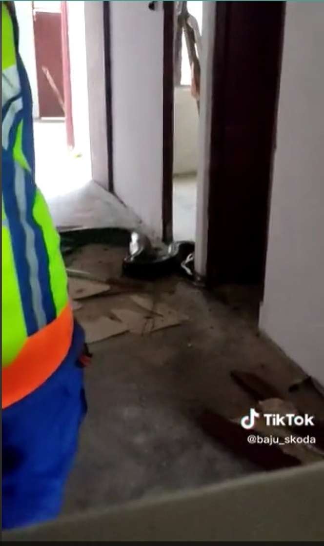 Potret Ular Piton Raksasa Jatuh Dari Atas Plafon Rumah, Dikira Satu Ekor Ternyata Sekeluarga, Penampakannya Bikin Merinding!
