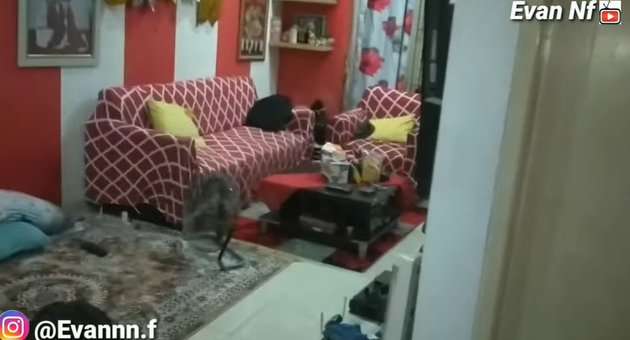 10 Potret Rumah Daus Mini, Tembok Ditambal & Barang Berantakan Dimana-Mana