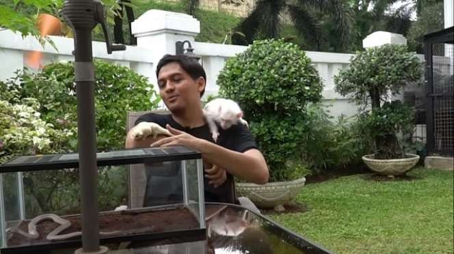 Mundur Jadi Wakil Bupati, 10 Potret Rumah Lucky Hakim yang Jadi Sorotan, Jual Hewan Peliharaan Demi Hidup!
