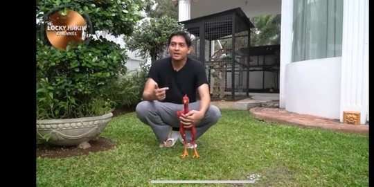 Mundur Jadi Wakil Bupati, 10 Potret Rumah Lucky Hakim yang Jadi Sorotan, Jual Hewan Peliharaan Demi Hidup!