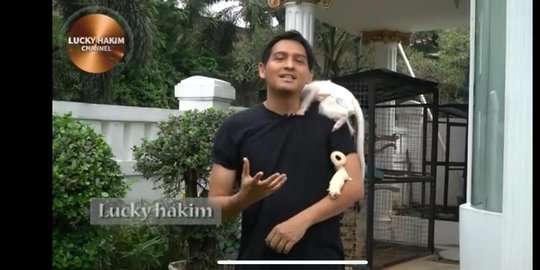 Mundur Jadi Wakil Bupati, 10 Potret Rumah Lucky Hakim yang Jadi Sorotan, Jual Hewan Peliharaan Demi Hidup!