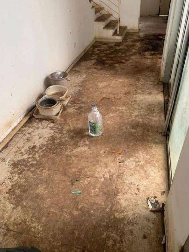 Potret Kontrakan Disewa Orang Ngaku Pecinta Kucing, Kondisinya Bikin Merinding!