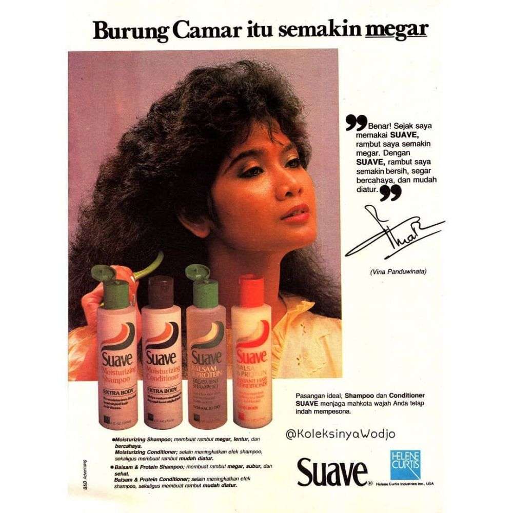 Ingat Model Cantik Iklan Jadul Sampo Suave? Kini Penampilannya Bikin Pangling, Tak Disangka Jadi Penyanyi Papan Atas Indonesia!